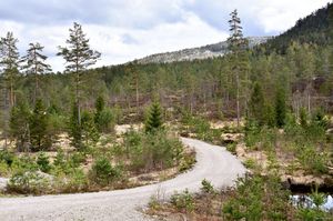 Nome, Gongevegen-1.jpg