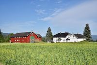 Nr. 11, Romnes (gnr. 41/24). Foto: Roy Olsen (2018).