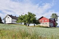 Nr. 7, Romnes vestre (gnr. 41/8). Foto: Roy Olsen (2018).