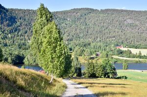 Nome, Røimålbakken-1.jpg