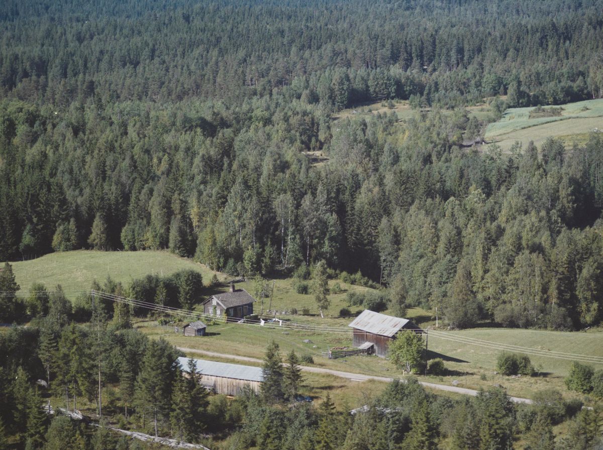 Nordli under Sæter nordre – lokalhistoriewiki.no