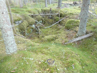 Nordlia under Øiset øvre Kongsvinger.png