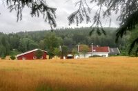 Mange velger å starte turen i Gaupesteinmarka like ved Granerud gård. Foto: Leif-Harald Ruud (2019).