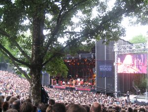 Norwegian Wood festival juni 2009 1.jpg