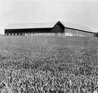 125. Nossum gård i Skogn.jpg