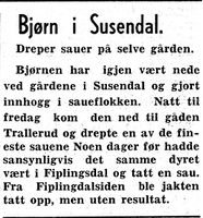 66. Notis om bjørn i Namdal Arbeiderblad 28.10.1950.jpg