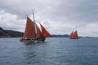 Notmann på kryss. Foto: Svein Midtøy