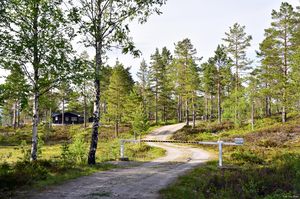 Notodden, Diplemyrvegen-1.jpg