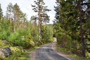 Notodden, Golidvegen-1.jpg