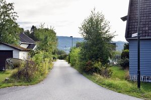 Notodden, Groshaugveien-1.jpg