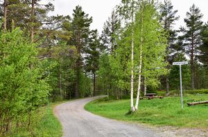 Notodden, Grytefjellvegen-1.jpg