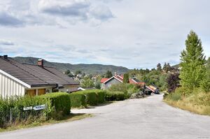 Notodden, Ivar Aasens gate-1.jpg