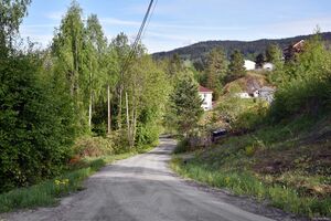 Notodden, Kleppenvegen-1.jpg