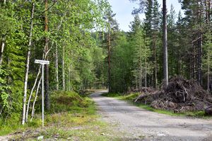 Notodden, Kringletjønnvegen-1.jpg