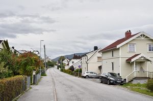 Notodden, Lienveien-1.jpg