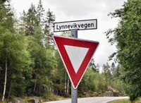 Veiskilt ved Tinnsjøvegen. «Lynnevikvegen» Foto: Roy Olsen (2021).