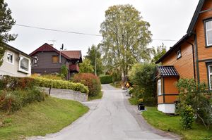 Notodden, Nordahl Griegs gate-1.jpg