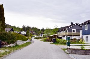 Notodden, Røsslyngvegen-1.jpg