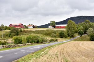 Notodden, Raud Rygis veg-1.jpg