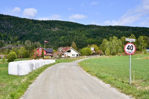Notodden, Rindevegen-1.jpg