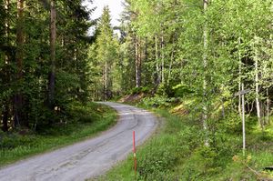 Notodden, Romestulvegen-1.jpg