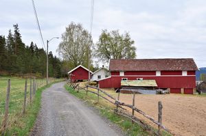 Notodden, Søndre Skogenvei-1.jpg