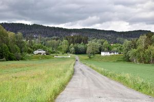 Notodden, Seljordsvegen-1.jpg