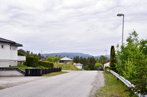 Notodden, Surtetjønn-vegen-1.jpg
