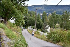 Notodden, Tømmerveien-1.jpg