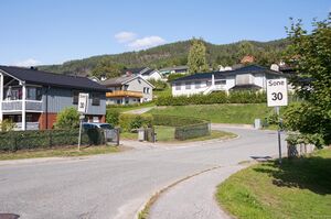 Notodden, Tors veg-1.jpg