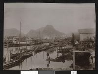 3. Nr. 101 Værø Fiskevær, Lofoten, 1901 - no-nb digifoto 20130214 00010 bldsa FA1189.jpg