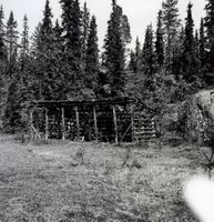 Torvhesje bakom Sudistog-Ingjusdalen i Lårdal. Foto: Olav L. Tveito (1967).
