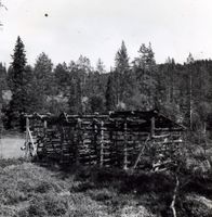 Torvhesje på Galtedalsmyran som høyrde til Nordistog Tveito i Lårdal. Foto: Olav L. Tveito (1967).