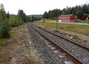 Numedalsbanen mellom Lampeland og Flesberg 2013.jpg