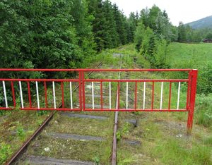 Numedalsbanen ved Bruhaug i Rollag juni 2013.jpg