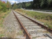 Numedalsbanen ved Svene i Flesberg. Foto: Stig Rune Pedersen