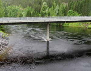 Numedalslågen ved Bruhaug bru Rollag juni 2013.jpg