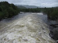 325. Numedalslågen ved Veggli juni 2013.jpg