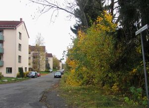 Nygård terrasse Oslo 2013.jpg