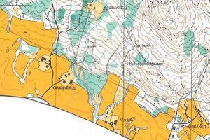 Nyhus Grønnerud Kongsvinger o-kart 1982.jpg