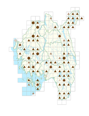Nymphaea alba subsp. alba.png