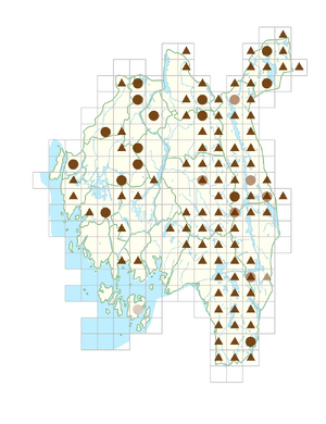 Nymphaea candida.png