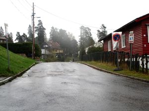 Nypeveien Oslo 2015.jpg