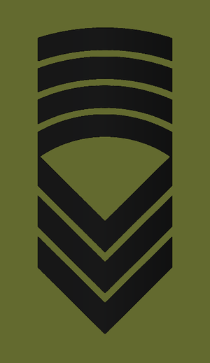 OR9 NOR - Sersjantmajor Hær.png