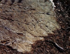 OSS i fjellet ved Skarragruvene (oeb-228639).jpg