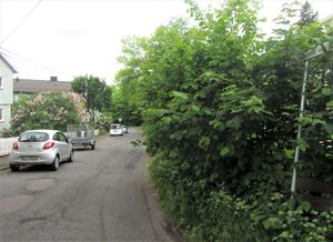 Odd Hassels vei Oslo 2014.jpg