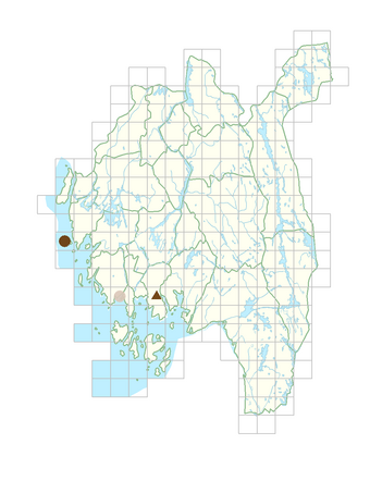 Oenanthe aquatica.png