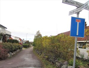 Ola Abrahamssons vei Åsgårdstrand.jpg