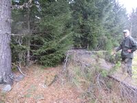 Lokalhistoriker Olav Homlebekk ved tuftene.