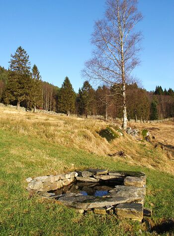 Olavskjelda i Eivindvik.jpg